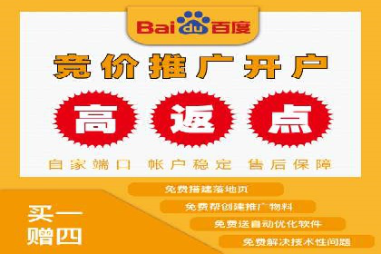 行业领先企业的SEM竞价推广策略揭秘